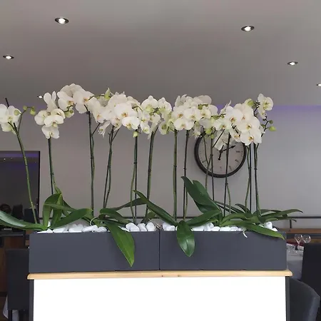 Ξενοδοχείο Normande